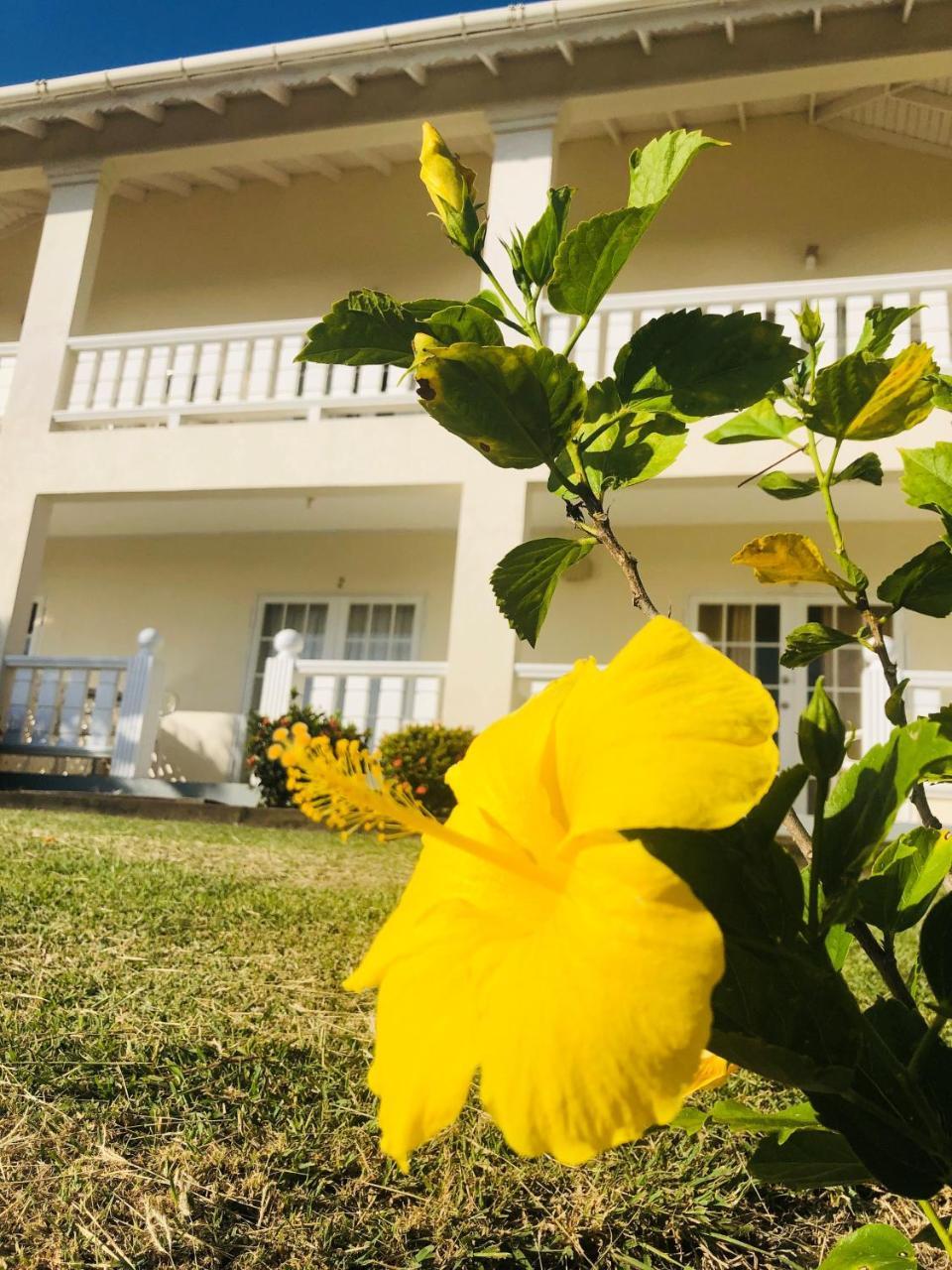 Rosewood Apartment Hotel Arnos Vale Exteriör bild